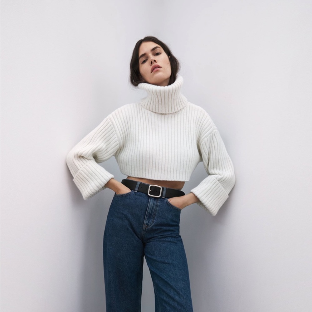 Zara Ecru Cropped Turtleneck
